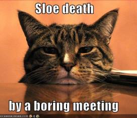 funny-pictures-cat-sleeps-boring-meeting