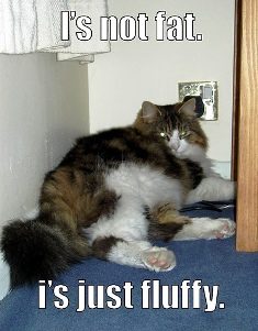 is-not-fat-is-just-fluffy